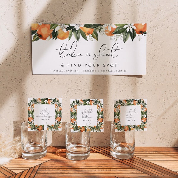 Champagne Glass Name Seating Chart Etsy