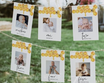 ROMY First Birthday Photo Banner, 1st Birthday Photo Banner, Honey Bee Monthly Milestone Photo Cards, Sweet As Can Bee, First Bee Day Party