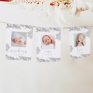 Plantilla de pancarta con foto del primer cumpleaños de RORY Silver Winter Onderland Snowflake Baby it's Cold Outside, Silver Snowflake First Birthday