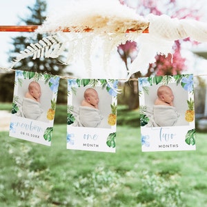 LALANI premier anniversaire Photo bannière, Luau 1er anniversaire Photo bannière, cartes-photos tropicales d'étape importante du mois, anniversaire floral plage Hibiscus