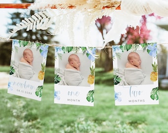 LALANI First Birthday Photo Banner, Luau 1st Birthday Photo Banner, Tropical Monthly Milestone Photo Cards, Beach Hibiscus Floral Birthday