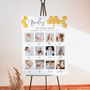 ROMY Honey and Bee Photo Baby Milestone Board Template, Bumble Bee First Birthday Party Sign, Year One Photo Sign, Gender Neutral Birthday