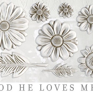 Iron Orchid Designs He Loves Me | IOD Mould