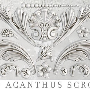 May include: White decorative acanthus scroll design with floral and leaf elements. The design includes a central shell-like shape, flowers, and scrolling leaves. The text "IOD ACANTHUS SCROLL" is at the bottom of the image.