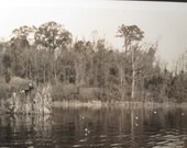 ANTIQUE 1930s DUCK CALL dynasty blind hunting decoys artistic lake country photo