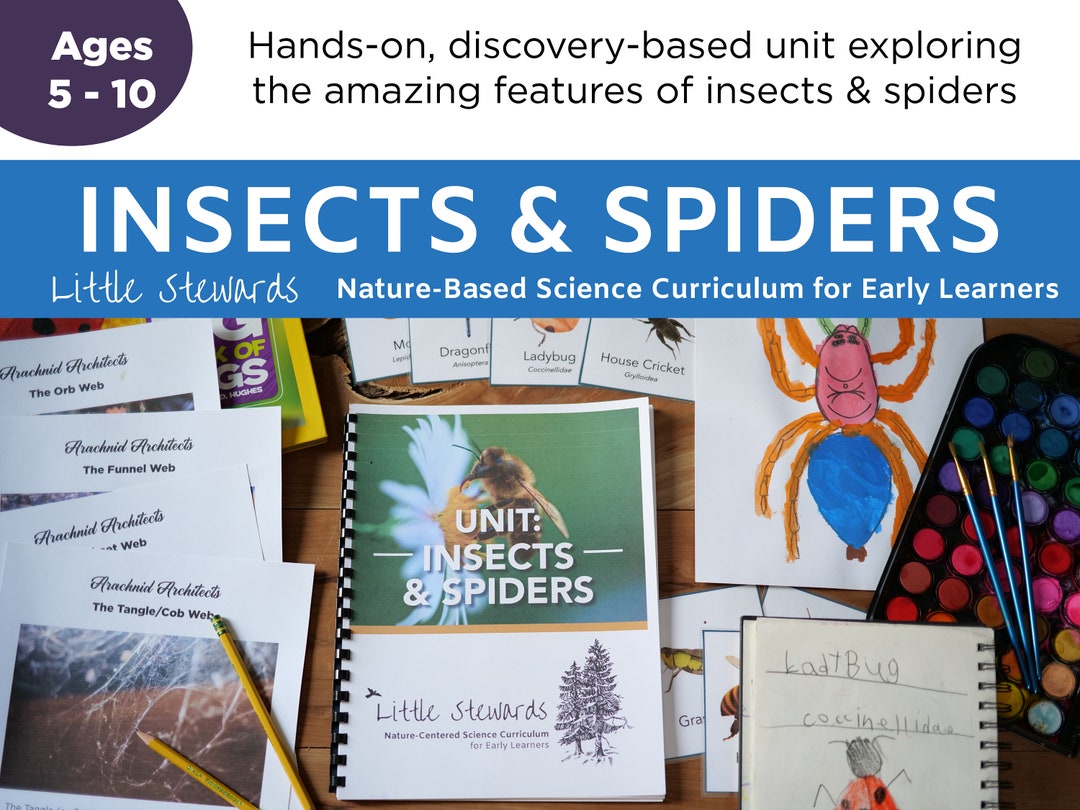 Insects & Spiders  Elementary Science Unit  Exploring the