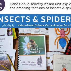 May include: A colorful educational unit for early learners about insects and spiders. The unit includes a workbook, flashcards, and activity sheets. The title of the unit is "Insects & Spiders" and the subtitle is "Little Stewards Nature-Based Science Curriculum for Early Learners".