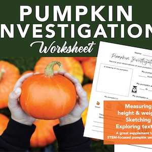 Pumpkin Investigation Worksheet