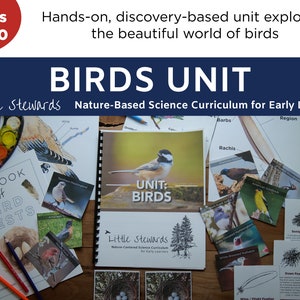 Birds - Elementary Science Unit