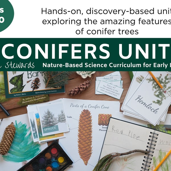 Conifers Unit - Elementary Science - Exploring the Amazing Features of Conifer Trees