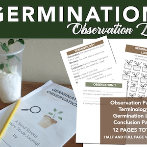 Pode incluir: Um conjunto de 12 páginas imprimíveis para um registo de observação da germinação de sementes. As páginas incluem uma secção de terminologia, um registo de germinação, uma página de conclusão e páginas de observação. As páginas são concebidas para versões de meia página e página completa. A imagem mostra um close-up da página de capa com o título "Registo de observação da germinação" e um desenho de uma planta num vaso.