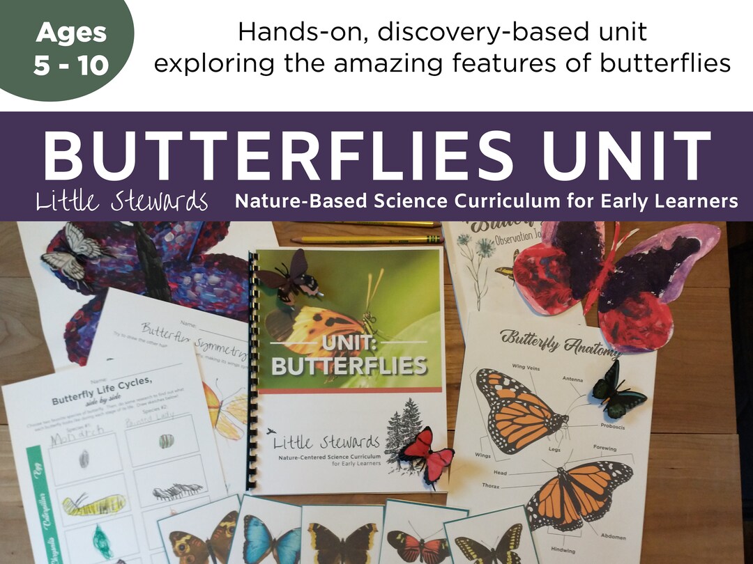 Butterflies Unit - Elementary Science - Etsy
