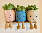 Plush succulents with handmade artificial succulent cork magnets