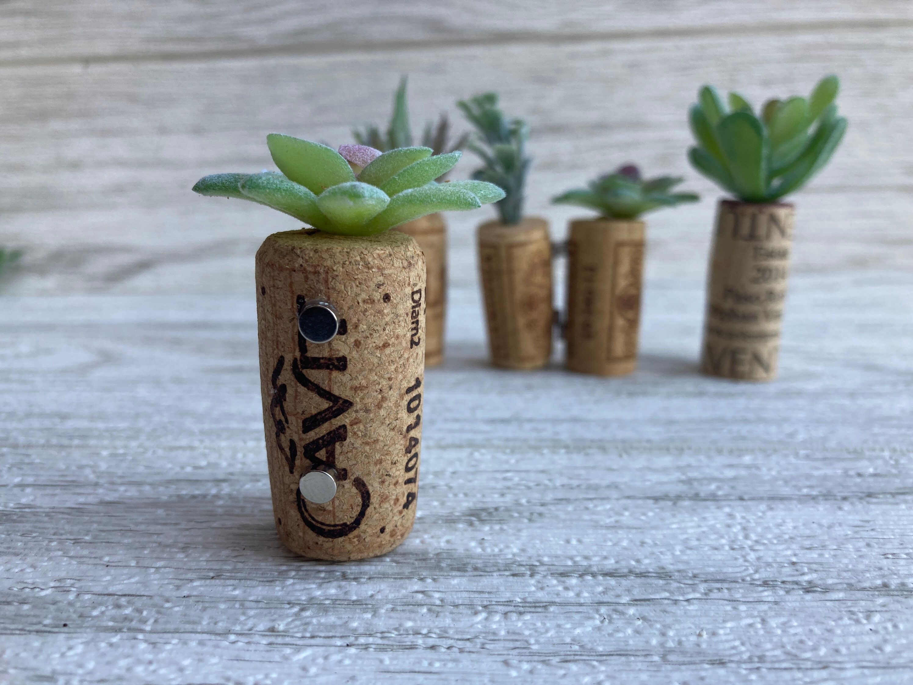 4 Artificial Succulent set of 4 Corks Etsy