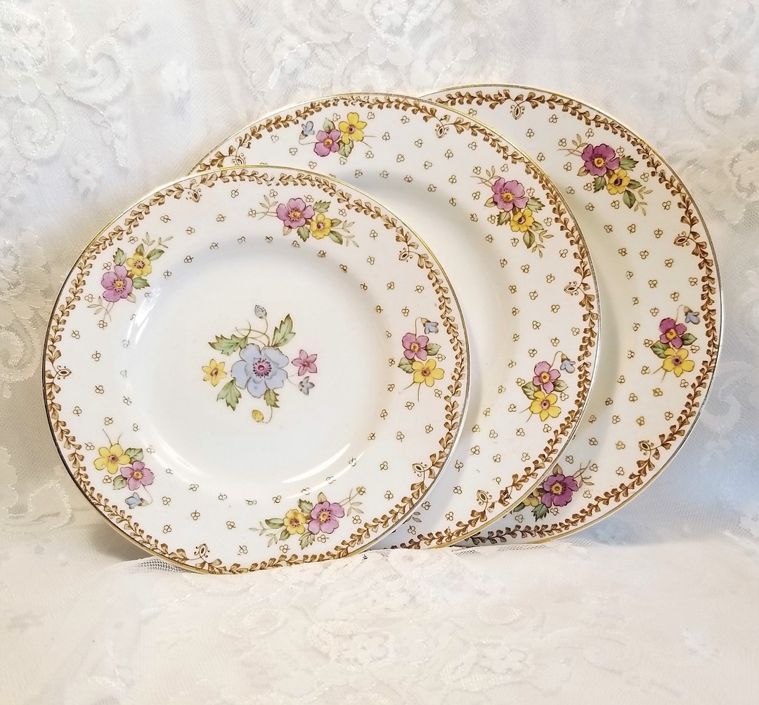 Vintage Plate Set Vintage Side Plate Theme Plate Staffordshire England