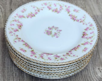 Antiker Teller Vintage Österreich Kuchenteller Royal Austria Porzellan Teller Europäische Porzellan Platte Antik Teetisch Dekor Baby BrautParty Geschenk
