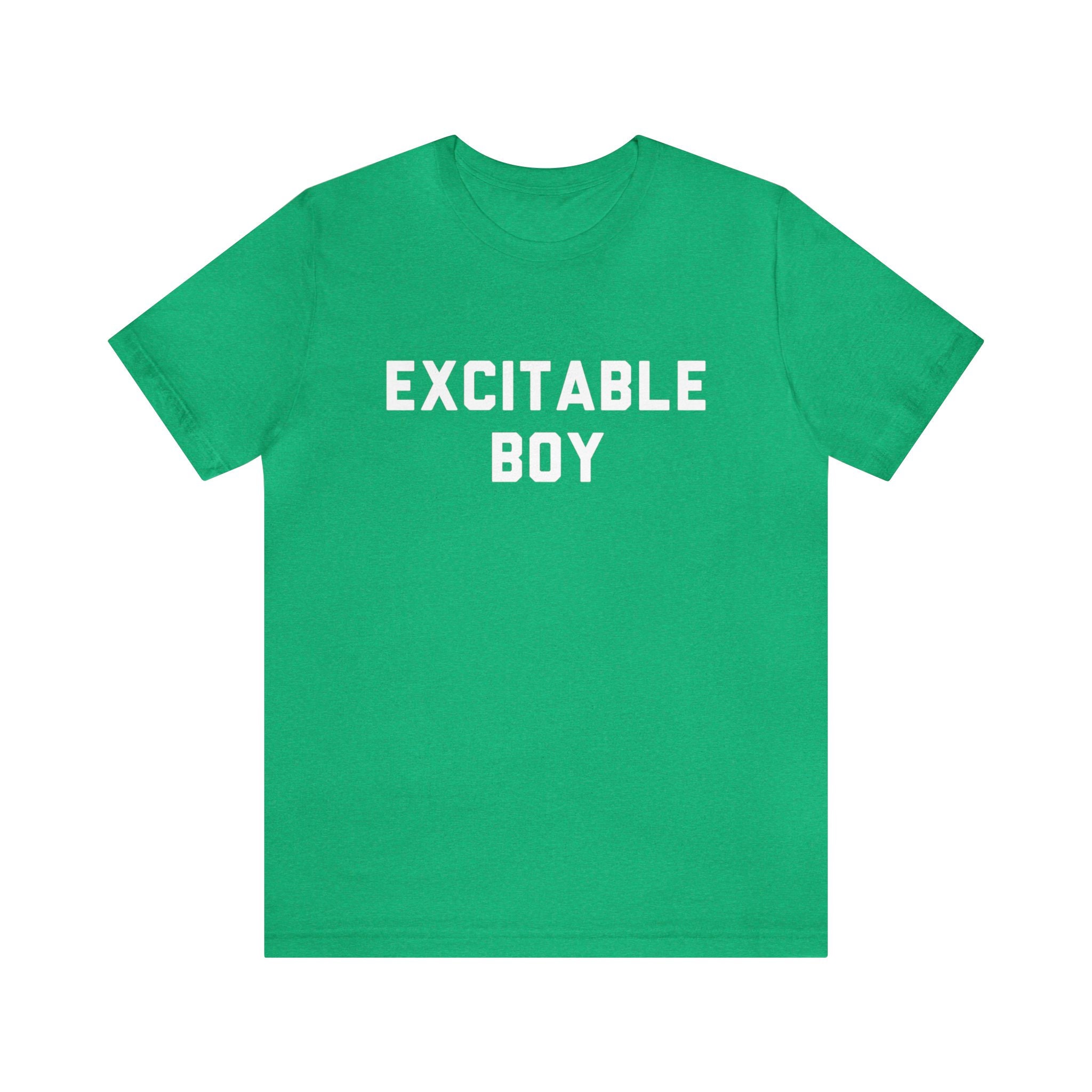 Excitable Boy T-shirt, Classic Rock Design, Song, '70s Music