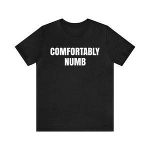 Comfortably Numb T-Shirt, Classic Rock, Rock Fashion, 70s, Music, Culture,  60s, Music Lover, Band Tee For Fans, Psychedelic Rock Tee Gift