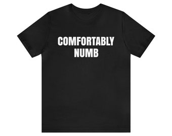 Comfortably Numb T-Shirt, Classic Rock, Rock Fashion, 70s, Music, Culture,  60s, Music Lover, Band Tee For Fans, Psychedelic Rock Tee Gift