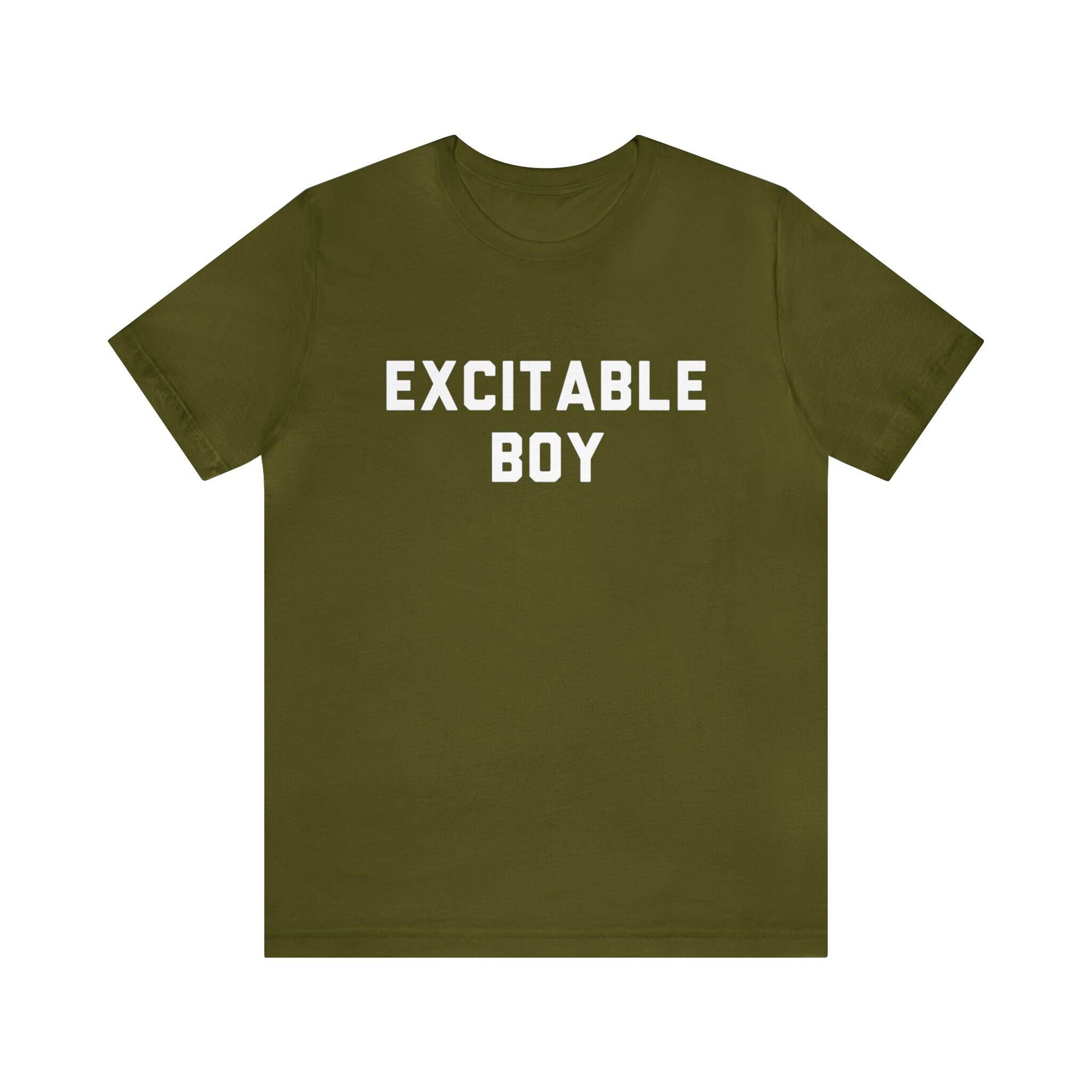 Excitable Boy T-shirt, Classic Rock Design, Song, '70s Music