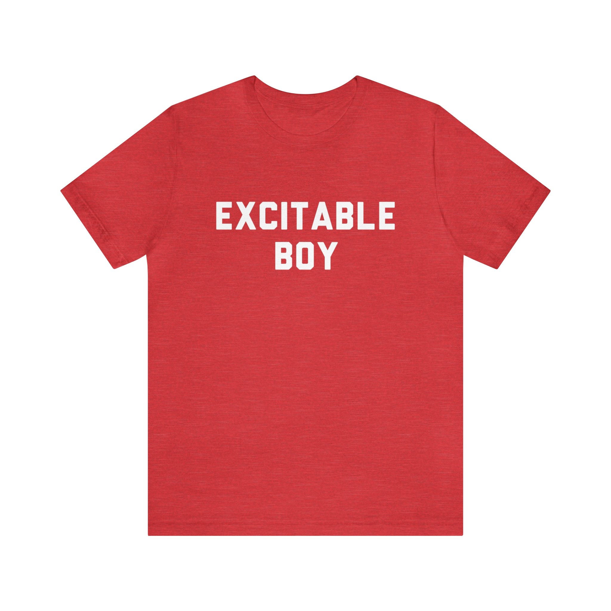 Excitable Boy T-shirt, Classic Rock Design, Song, '70s Music