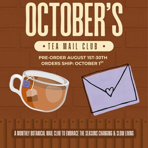 Op de afbeelding: Een promotionele afbeelding voor de Tea Mail Club van oktober met een bruine bakstenen achtergrond, een kop thee met een lachend theezakje en een paarse envelop met een hartje. De tekst bevat pre-orderdata en verzendinformatie voor de club.