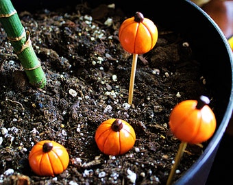 Pumpkin Clay Miniature Plant Decoration