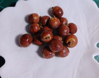 Miniature Clay Apples for Deity Offerings