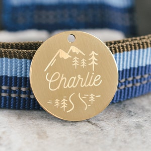 Dog Tag - Personalized Steel ID Tag - Custom Metal Pet Tag - Microchipped Tag - Cat Tag - SDT01
