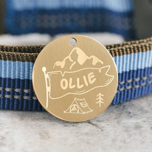 Hondenpenning - gepersonaliseerde stalen ID-tag - aangepaste metalen huisdiertag - gechipt tag - kattenpenning - SDT09