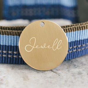 Dog Tag - Personalized Steel ID Tag - Custom Metal Pet Tag - Microchipped Tag - Cat Tag - SDT18