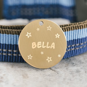 Dog Tag - Personalized Steel ID Tag - Custom Metal Pet Tag - Microchipped Tag - Cat Tag - SDT12