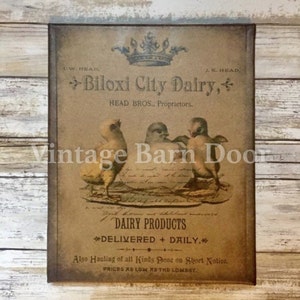Baby Chicks - Biloxi City Dairy 8x10 Canvas