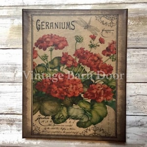 Geraniums 8x10 Canvas Art