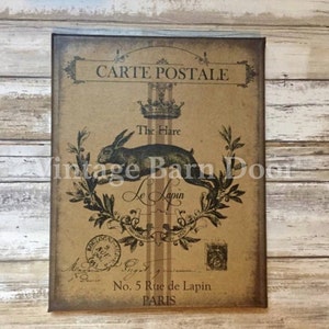 Carte Postale- Bunny Rabbit 8x10 Canvas