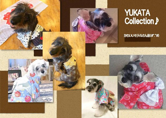 犬浴衣 Custom Made Yukata For Over 15kgs Large Size Dogs Etsy