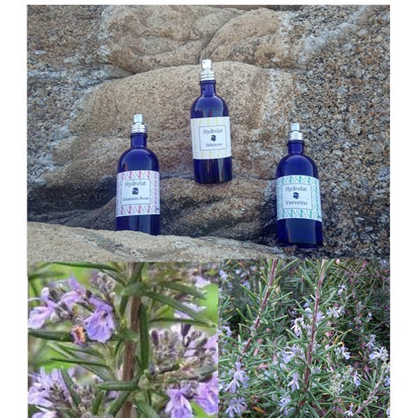 Hydrolat de Romarin verbenone officinale Corse bio sauvage (eau florale) - peaux grasses, jeunes, mixtes. Equilibre, purifie. Flacon pompe.