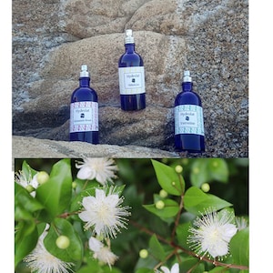 Corsican Wild Myrtle Hydrosol - floral water - 100 ml blue glass bottle - spray