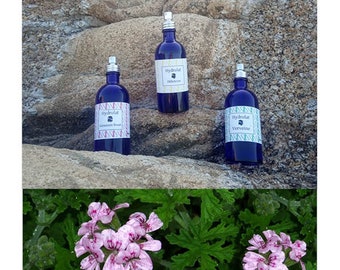 Hydrolat de Géranium rosat Corsica Biologique (eau forale) - Pelargonium graveolens . Lotion toutes peaux. Embellit, nettoie en douceur.