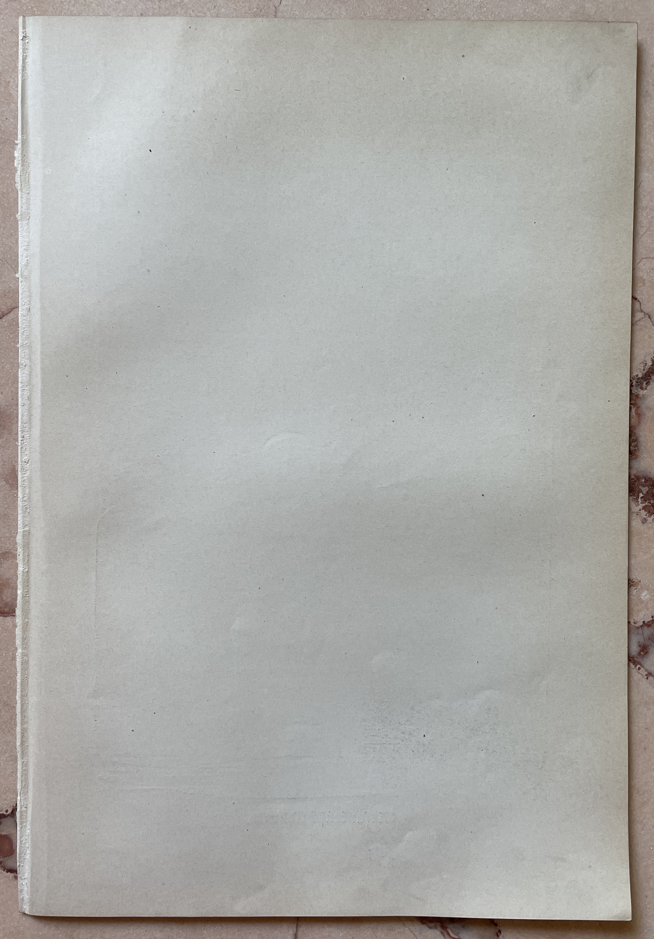 Vintage Animal Print Wildlife Art Decor Antique Wildlife | Etsy