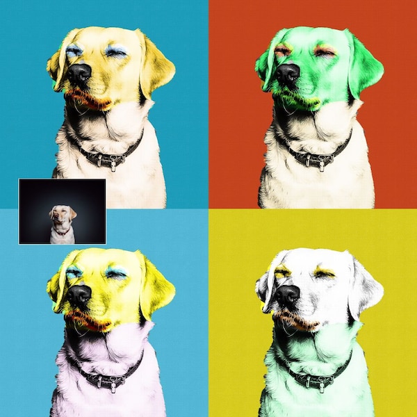 Pop Art custom painting, Andy Warhol Style, Instant Download, Pet Portrait Printable, Digital Download, Personalized pet pop art