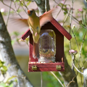 These Bird Feeders work Easy to Fill, Easy to Clean Feed the birds with this handcrafted Mason Jar time tested bird feeder image 3