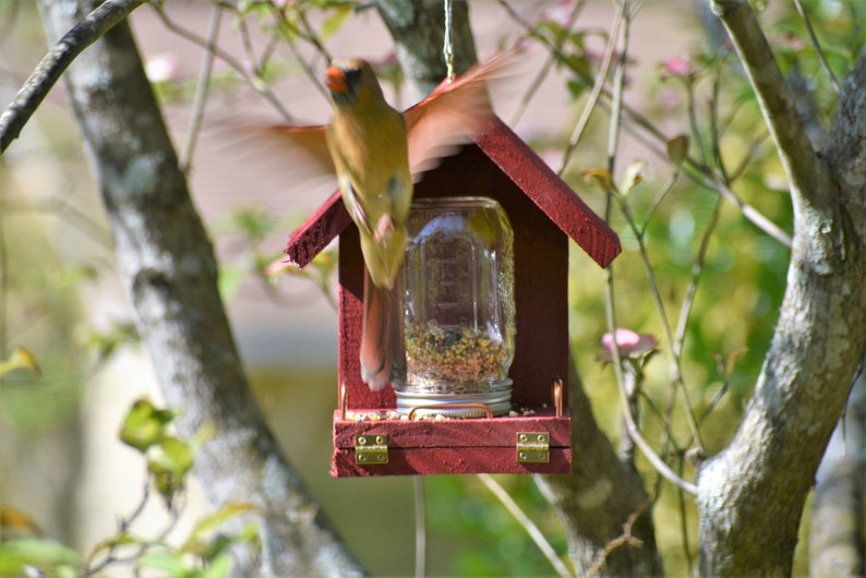 These Bird Feeders work Easy to Fill, Easy to Clean Feed the birds with this handcrafted Mason Jar time tested bird feeder image 3