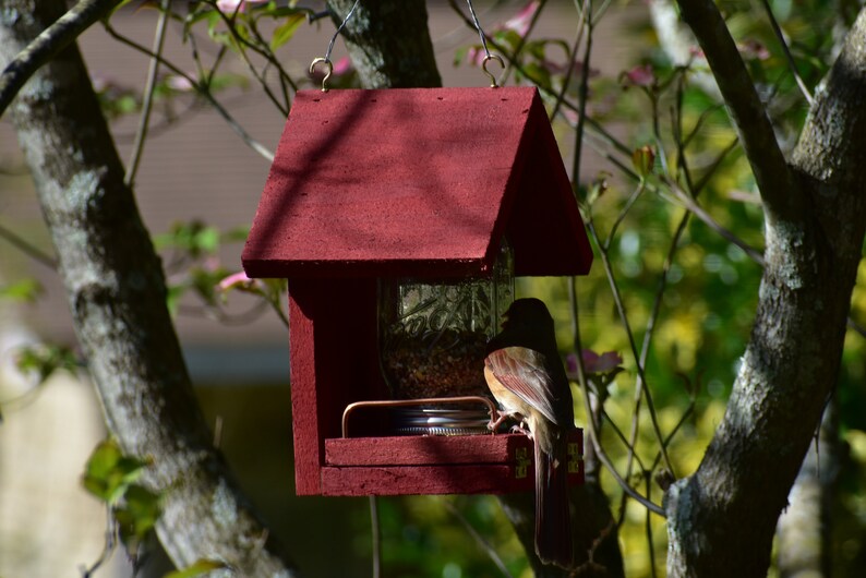 These Bird Feeders work Easy to Fill, Easy to Clean Feed the birds with this handcrafted Mason Jar time tested bird feeder image 7