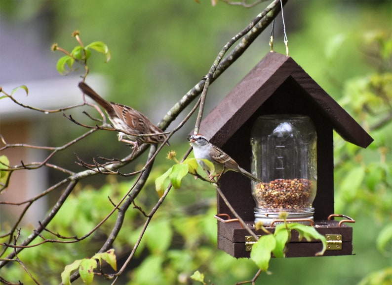 This Bird Feeder Works Easy to Fill Easy to Clean Feed the Etsy