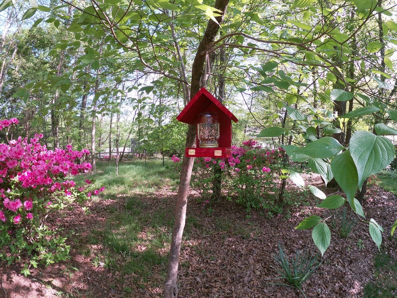 These Bird Feeders work Easy to Fill, Easy to Clean Feed the birds with this handcrafted Mason Jar time tested bird feeder image 8