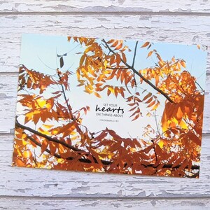 5 x Set Your Heart Cartes postales Feuilles d'automne Colossiens 3:1 Choses au-dessus des versets de la Bible Carte Ciel d'automne Impression artistique des Écritures chrétiennes