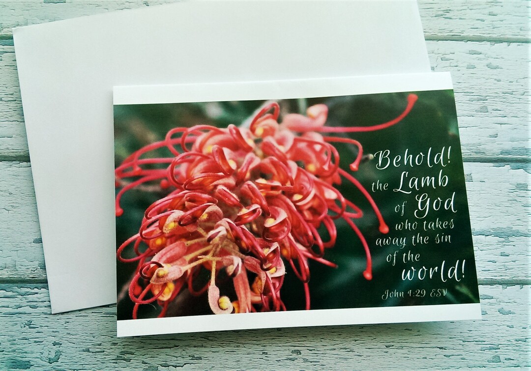 2x Native Australian Christmas Card Set Religious Xmas Red Flower