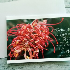 2x Conjunto de cartões de Natal nativos australianos religiosos de Natal com flor vermelha Grevillea Versículo da Bíblia João 1:29 Escova de garrafa Escritura Saudação de feriado