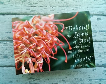 5x Scripture Christmas Card Set Bible Verse John 1:29 Behold the Lamb of God Religious Xmas Red Grevillea Australian Native Flower Holiday